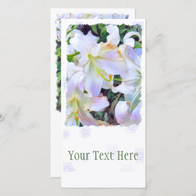 Anúncio Lilium "Casa Blanca" [Cartão de Guia Simples] (Frente/Verso)