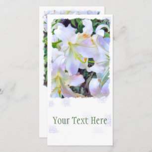 Anúncio Lilium "Casa Blanca" [Cartão de Guia Simples]