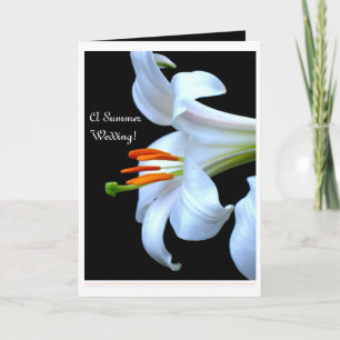 Anúncio Lily Summer Wedding Save the Date