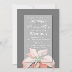 Anúncio Magia de Natal/ Flor de Poinsettia/ Casamento Cinz