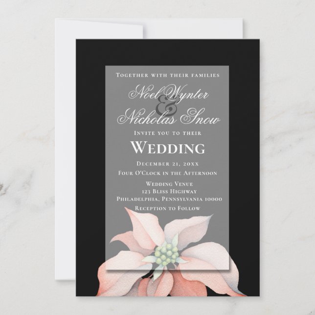 Anúncio Mágica Natal/ Poinsettia Flor/ Casamento Negro (Frente)