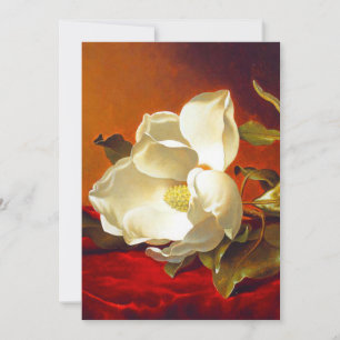 Anúncio Magnolia em Red Velvet Martin Johnson Heade