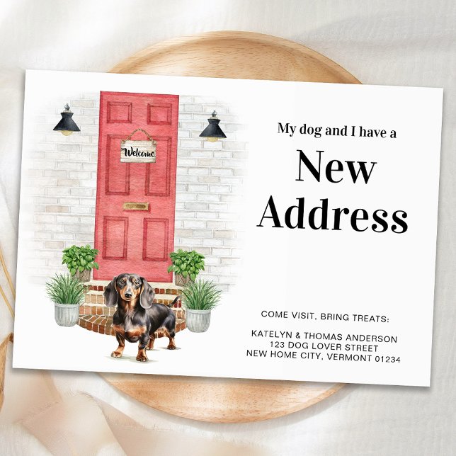 Anúncio Meu Cachorro e eu novo endereço Cachorro Dachshund (Criador carregado)