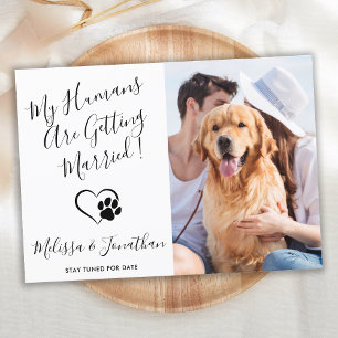 Anúncio Meus Humanos Estão Se Casando Cachorro de Estimaçã
