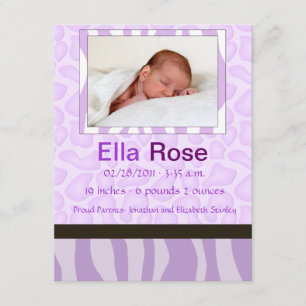 Anúncio Mistura do safari - nascimento do bebê da zebra e