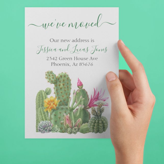 Anúncio Movendo o lançamento Cactus Succulent Blooming (Criador carregado)