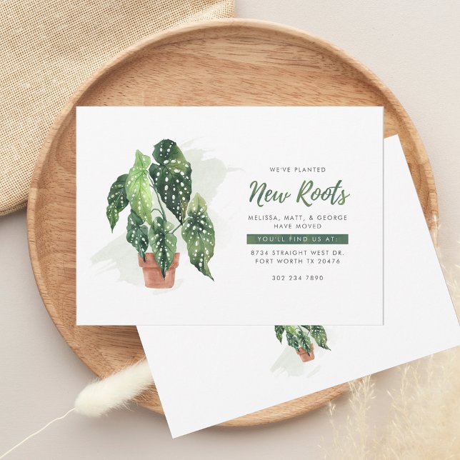 Anúncio Movimentamos a Movimentação Botânica de Planta de  (New Roots Change of Address Watercolor Potted Plant Moving Announcement)