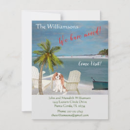 Anúncio Movimentamos a praia do Cachorro