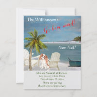 Movimentamos a praia do Cachorro