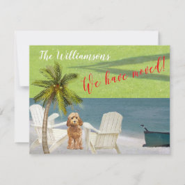 Anúncio Movimentamos o orçamento da praia do Cão Oceano