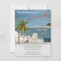 Movimentamos o orçamento da praia do Cão Oceano