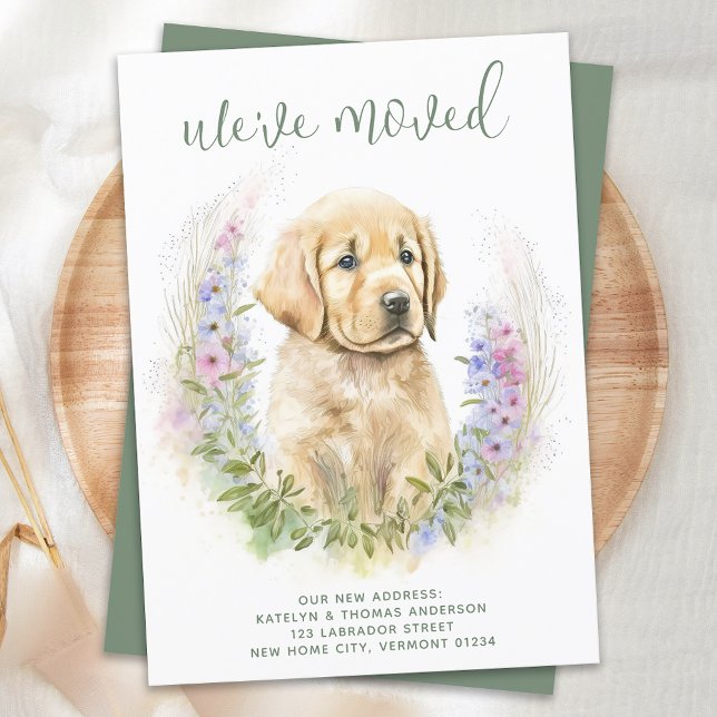 Anúncio Movimentamos o Ouro Retriever Puppy Dog em Movimen (Criador carregado)