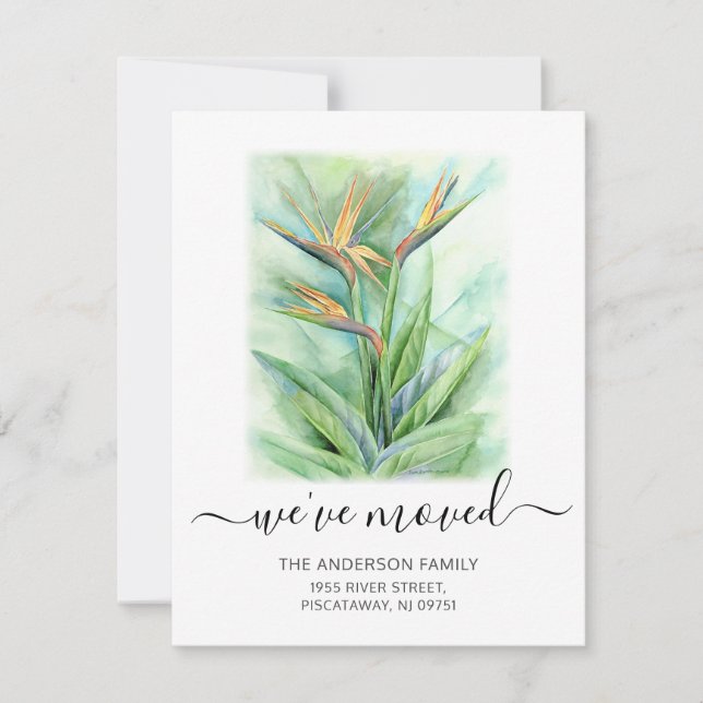 Anúncio Movimentamos Pássaro Floral do Nome do Paraíso. (Frente)