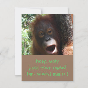 Anúncio Mudança de Endereço Orangutan