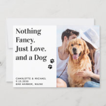 Nada De Rico Apenas Amor E Casamento De Cachorro
