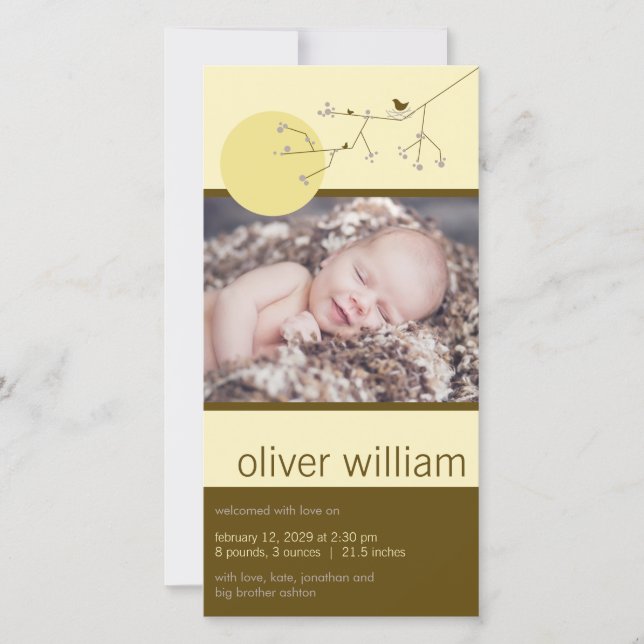 Anúncio Nascimento De Um Menino Da Família De Aves Ou De U (Frente)