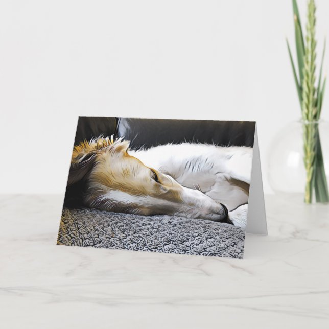 Anúncio Noite Noite Borzoi (Frente)