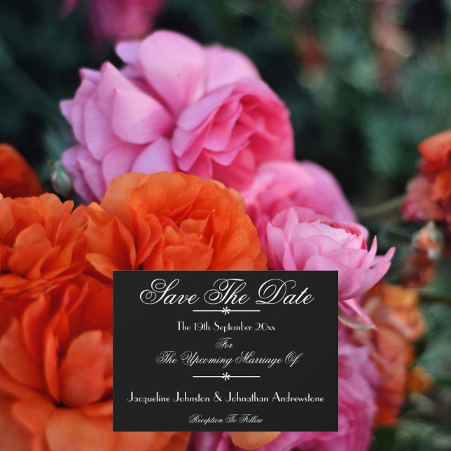 Anúncio Nomes de Script Chic Clássico B & W Salvar a Data (Wedding Save The Date Announcement Cards - Classic chic script names in black and white.)