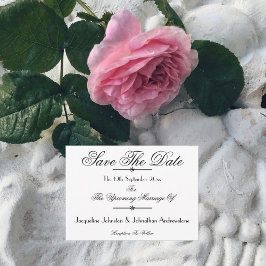 Anúncio Nomes de Script Clássicos Modernos Salvem Brancame