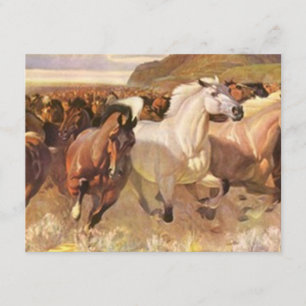 Anúncio Nós temos mustang movidos móveis dos cavalos no