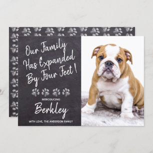 Anúncio Nossa família expandiu-se por 4 pés de novo Cachor