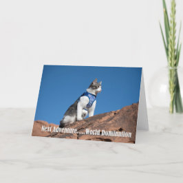 Anúncio Notecard de gato dominador mundial