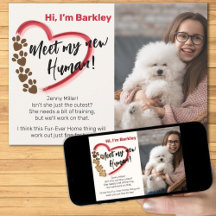 Nova Adoção de Pet