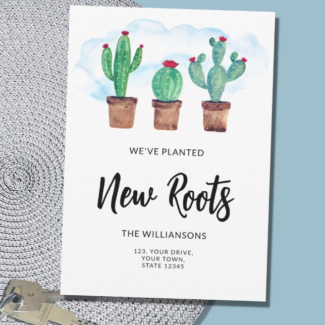 Anúncio Novas Raízes em Movimento (Criador carregado)