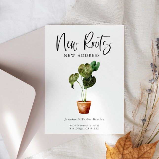 Anúncio Novas Raízes Novo Endereço Deslocamento Doméstico (Criador carregado)