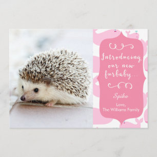 Anúncio novo cor-de-rosa de Furbaby