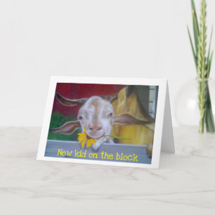 ANÚNCIO NOVO FILHO NO BLOCO-***NOVO BEBÊ***