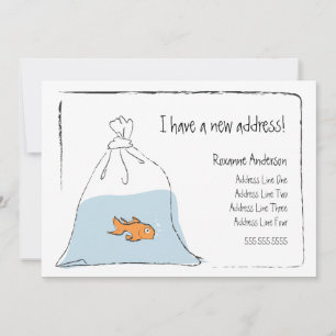 Anúncio Novo lançamento