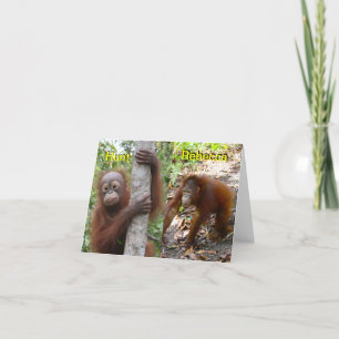 Anúncio Novo lançamento do bebê