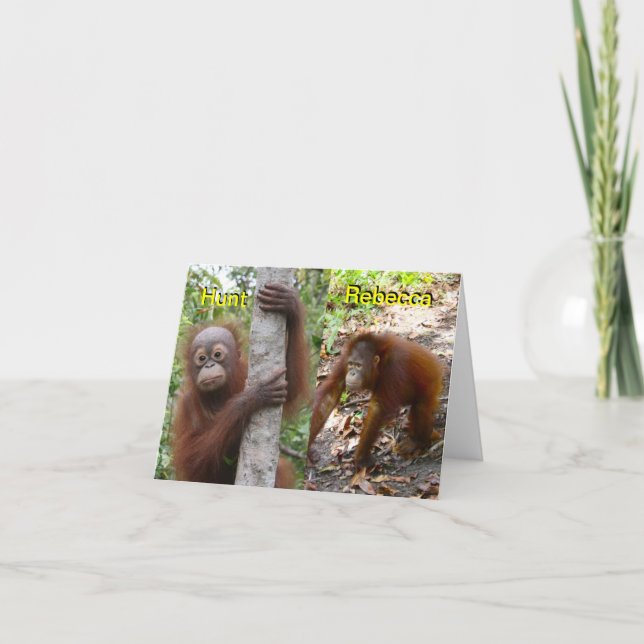 Anúncio Novo lançamento do bebê (Frente)