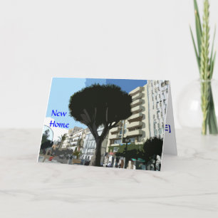 Anúncio Novo Lar - Apartamento / Plana)