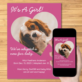 Anúncio Novo Puppy Bonito