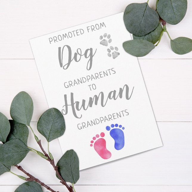 Anúncio Novos Avós Bonitos Gravidez Do Cão (Criador carregado)