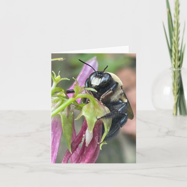 Anúncio Ocupado como uma Abelha (Frente)