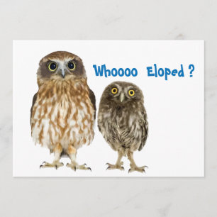 Anúncio Owl Duo que Eloped