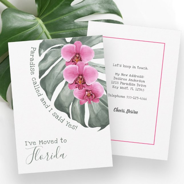 Anúncio Paraíso Chamado Orquídeas Tropicais Eu Movi (Criador carregado)