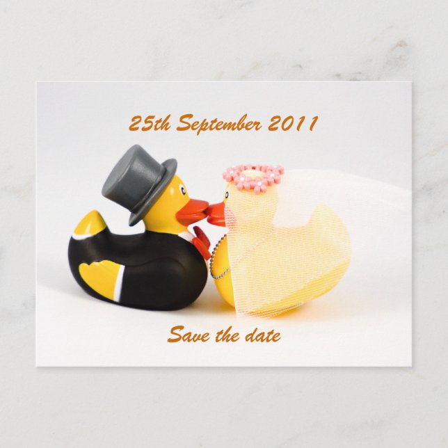 Anúncio Patos de casamento ... Cartão postal (Frente)