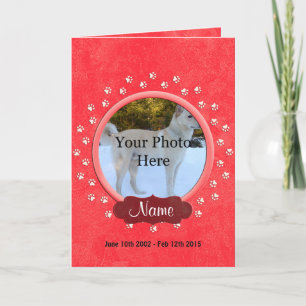 Anúncio Personalizado de Memória Pet