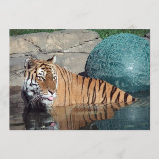 Anúncio personalizável do Tigre Bengal