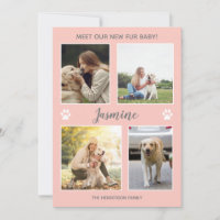 Pet Anunciando Nova Pele Foto Bebê Blush Rosa