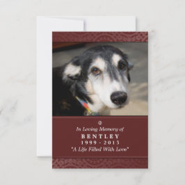 Anúncio Pet Memorial Card 3.5 x 5 Maroon Deus Te Viu Poema