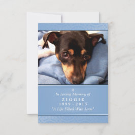 Anúncio Pet Memorial Card 3.5 x 5 Prayer de Pet Azul Claro