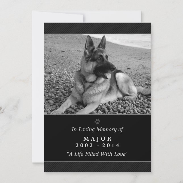 Anúncio Pet Memorial Card 5"x7" Black Modern - Masculino P (Frente)