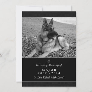 Anúncio Pet Memorial Card 5"x7" Black Modern - Masculino P