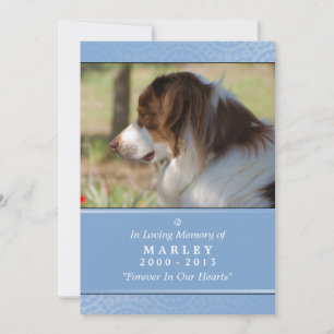 Anúncio Pet Memorial Card 5"x7" Leve Blue Pet Orador