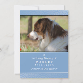 Anúncio Pet Memorial Card 5"x7" Leve Blue Pet Orador